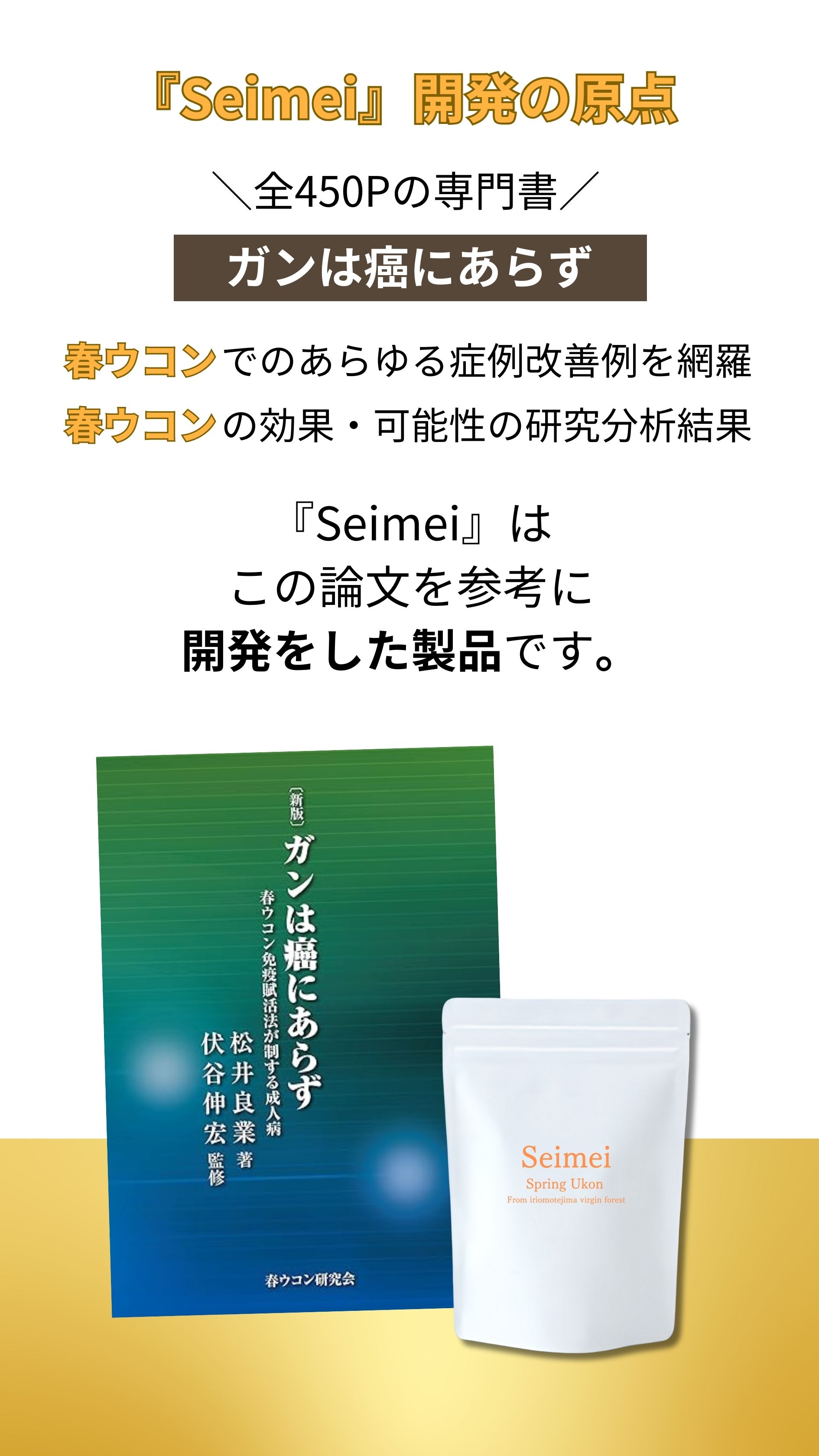 Seimei開発の原点